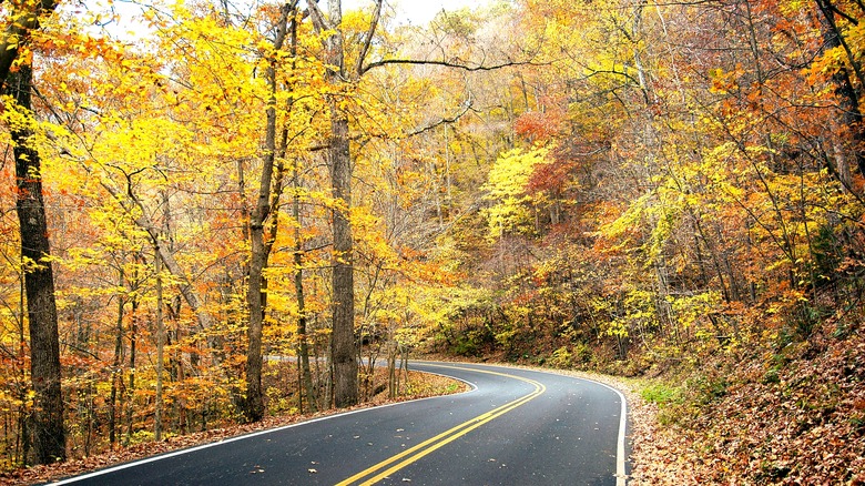 Mohican State Park in autumn