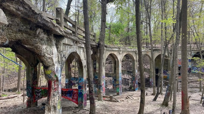 Hillandale Bridge with graffiti in Ohio forest