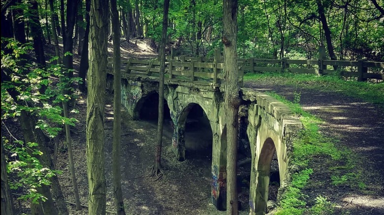 Hillandale Bridge behind trees in Ohio