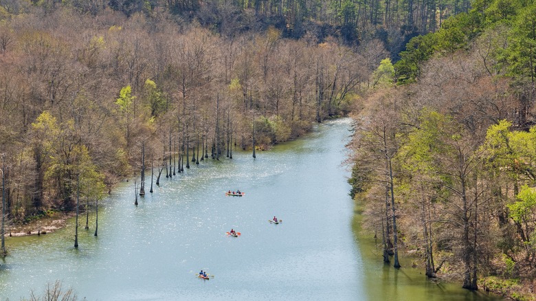 Kayakers surrounded by trees at Broken Bow Lake