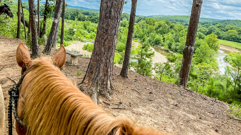 View of river from horseback near Broken Bow Lake