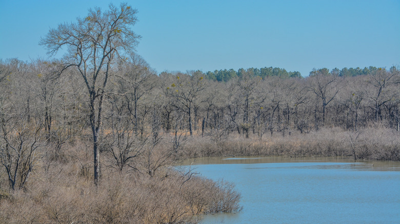 Kiamichi Park featuring bare trees and water at Hugo Lake