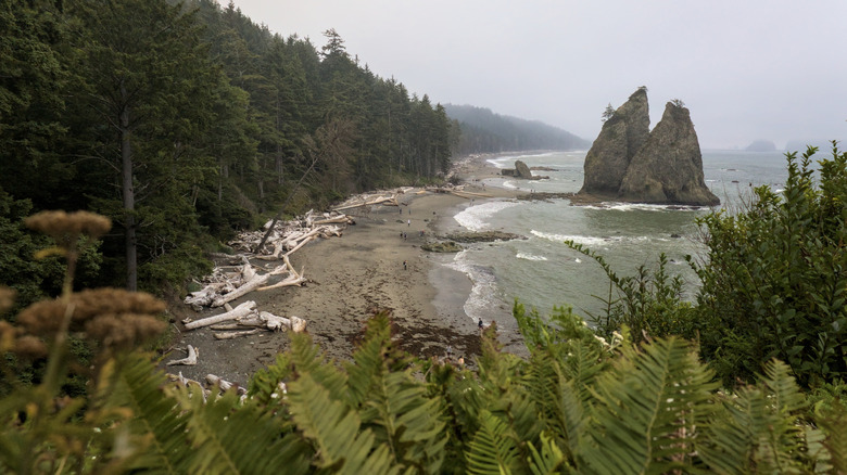 Coastal view of Hole in the Wall north of Olympic National Park's Rialto Beach