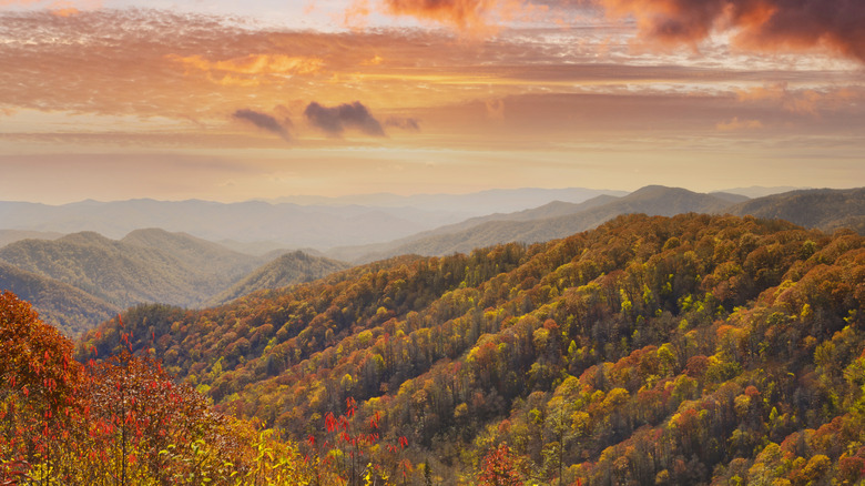 Great Smoky Mountains National Park view