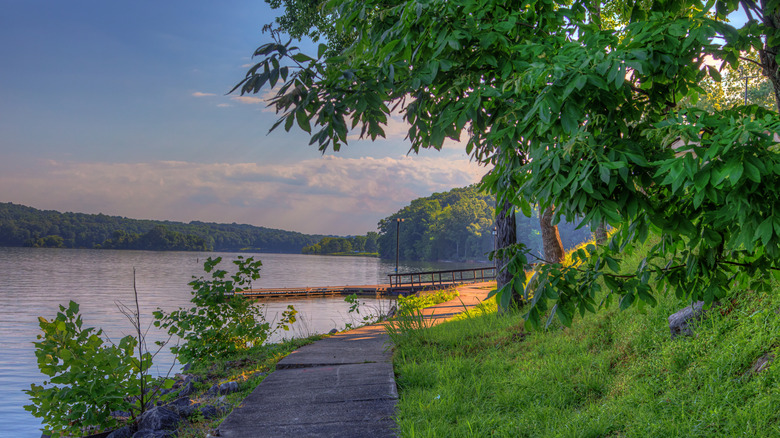 Lake Barkley, Kentucky, glittering under the sun