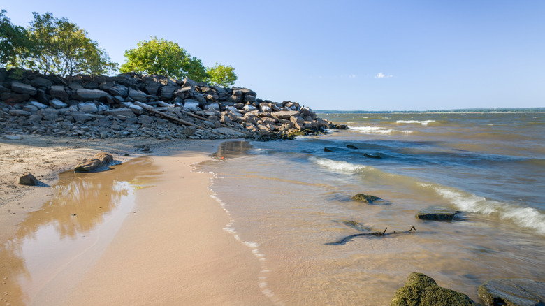 Lake Eufaula State Park Beach