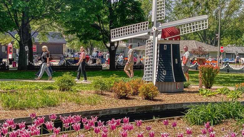 The Tulip Festival in Orange City, Iowa