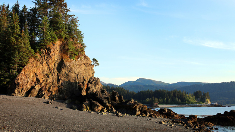 A beach in Seldovia with green trees overlooking the water