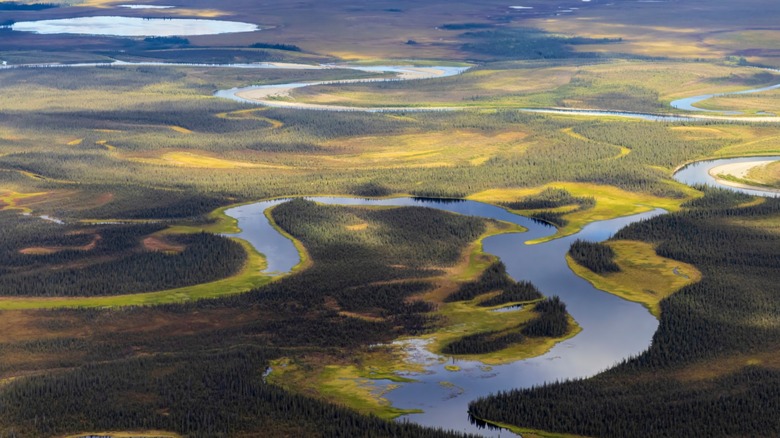 Aerial landscape of Kobuk Valley National Park.