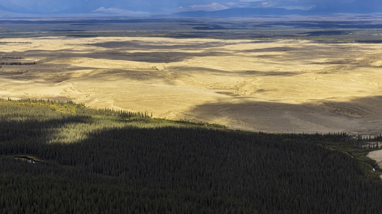 The Sand Dunes at Kobuk Valley National Park.