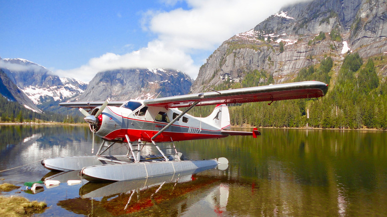 Sea plane near Misty Fjords National Monument