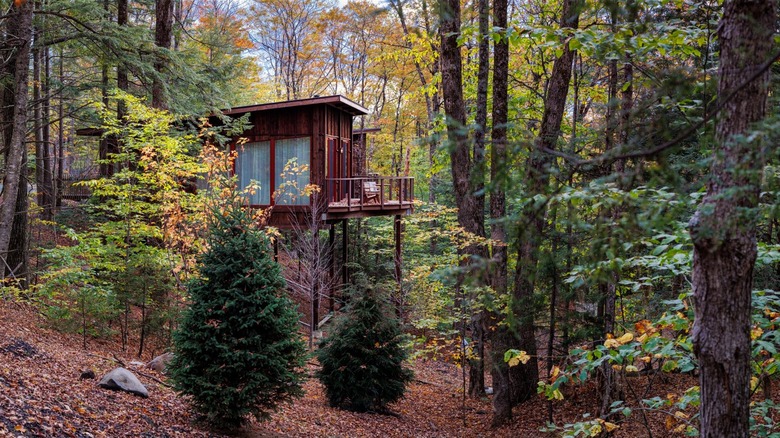 Treehouse at Twin Farm