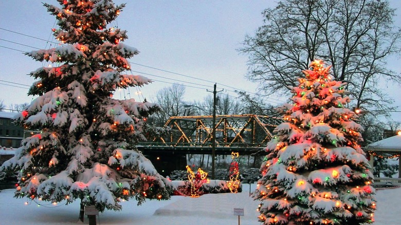 Snowy trees and bridge decorated with holiday lights in Seneca Falls