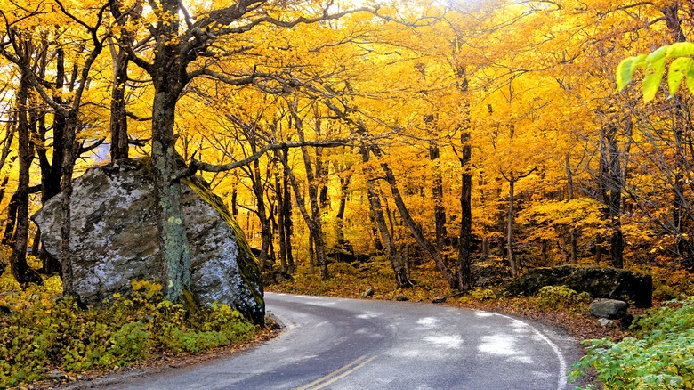 Smuggler's Notch Road in fall