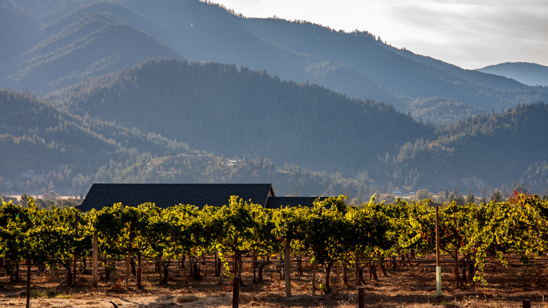 Rogue Valley wine country surrounding Jacksonville, Oregon