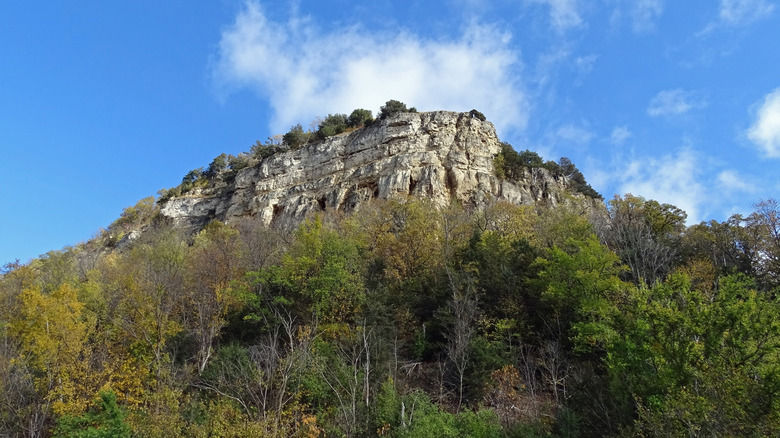 Maiden Rock Bluff State Natural Area in Stockholm