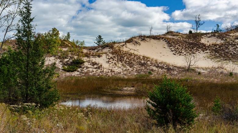 Dunes and marshes of Indiana Dunes National Park