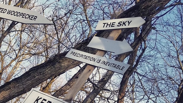 Artistic trail signs on bare trees at the Virginia B. Fairbanks Art & Nature Park