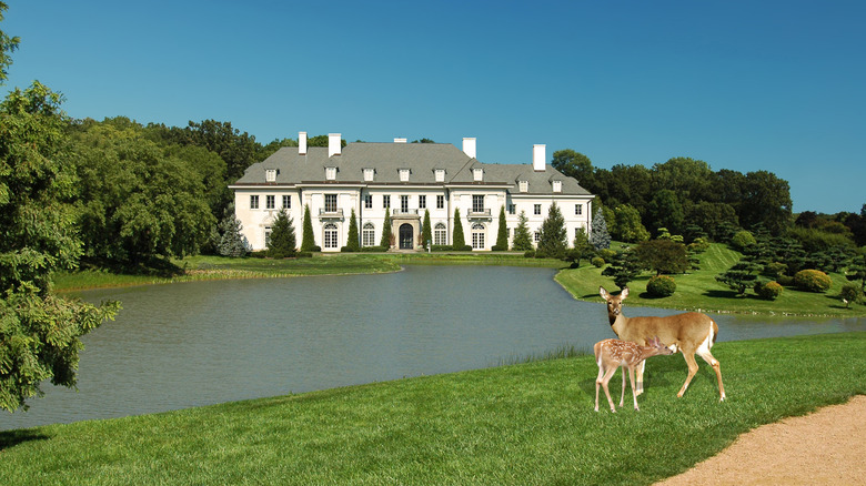 Deer in front of Lilly House and canal