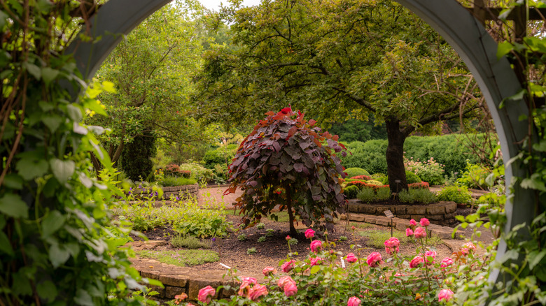 Scene of trees and gardens in Columbus Park of Roses