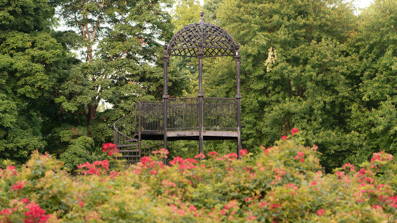 Roses and a gazebo in the Formal Rose Garden in Columbus Park of Roses