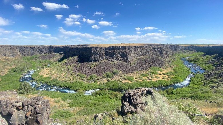 Box Canyon Springs Preserve in Wendell