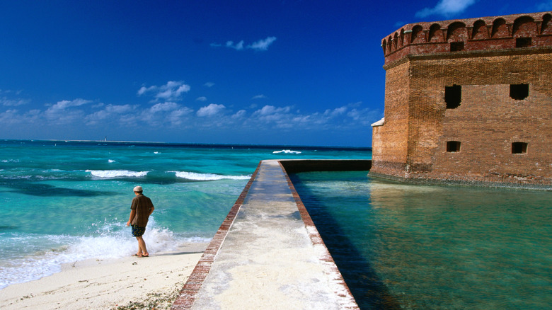 A man on the beach at Dry Tortugas near Fort Jefferson in Florida