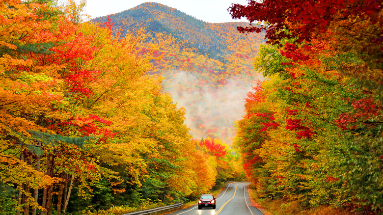 Kancamagus Highway fall foliage road