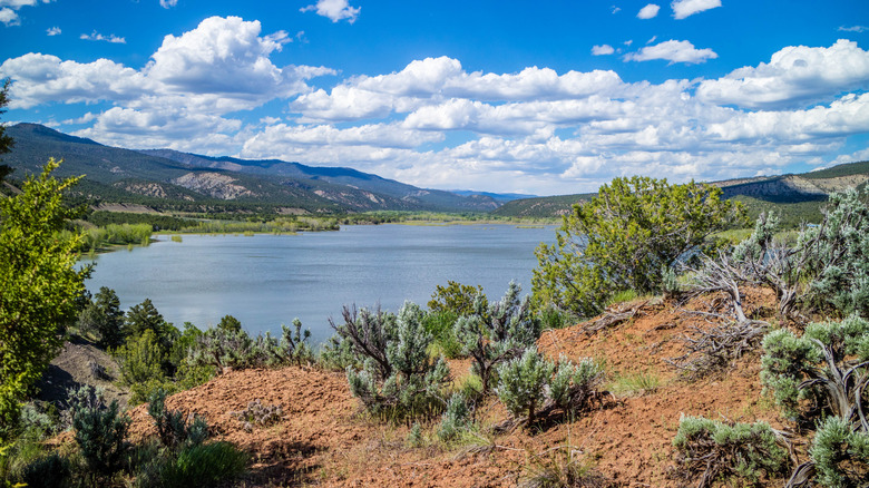 Lake with greenery and mountains in Cortez, Colorado