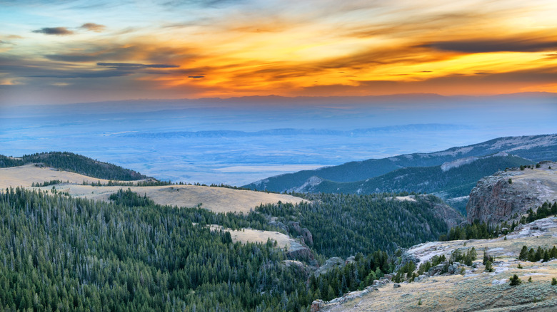 Bighorns sunset