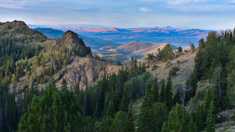 Meadows, mountains, and canyons in Jarbidge Wilderness, Nevada