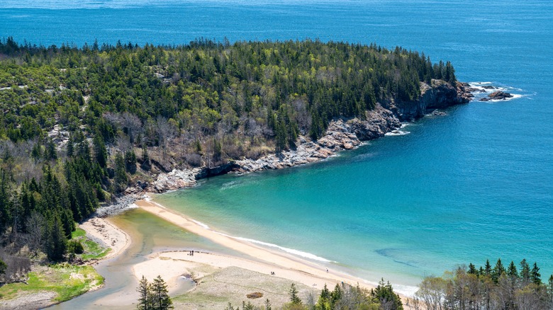 Sand Beach Acadia National Park