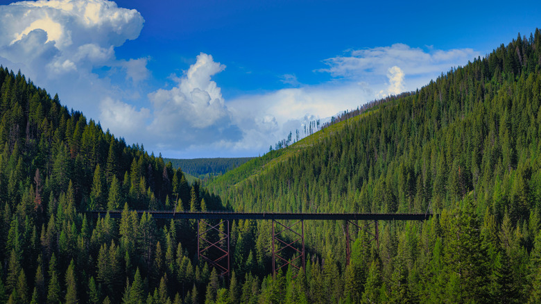 A bridge on the Route of the Hiawatha Trail