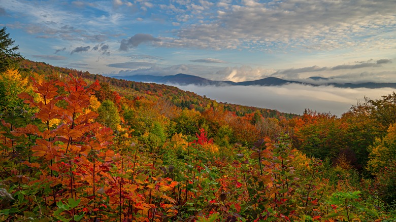 Autumn view from Kancamagus Highway