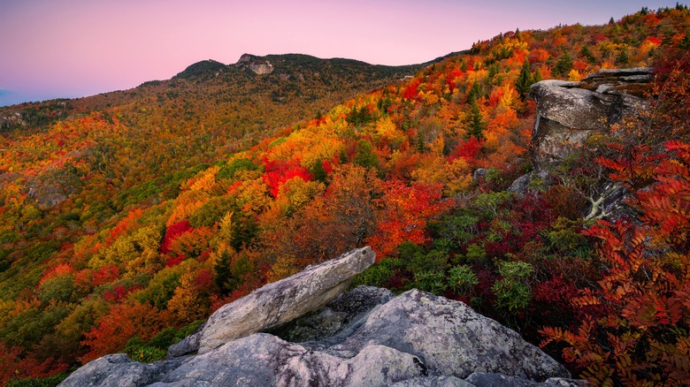 Blue Ridge Mountains fall foliage