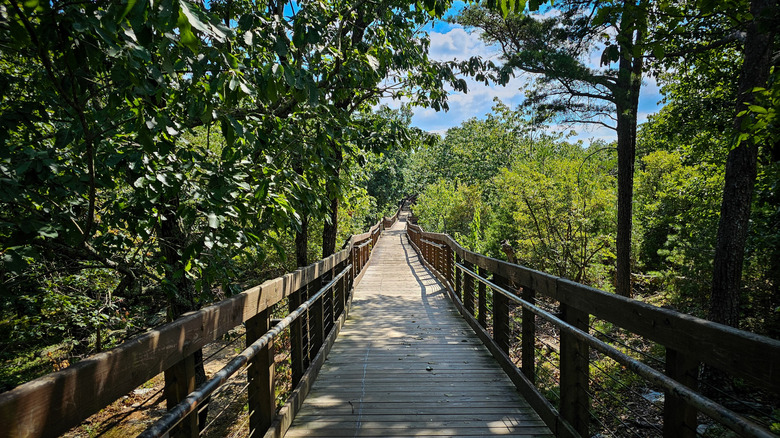 Bald Rock Boardwalk Trail at Cheaha State Park in Alabama