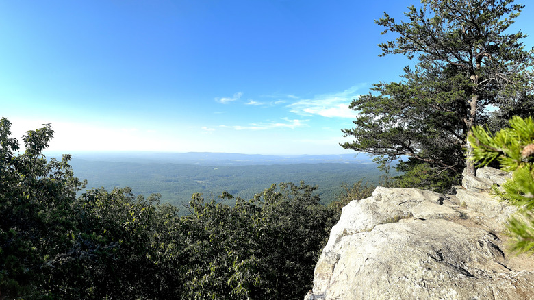 A view from Cheaha State Park in Alabama