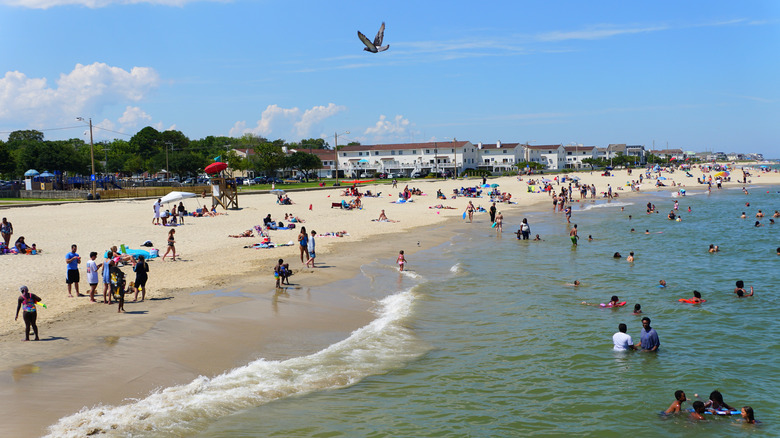 East coast beach full of swimmers