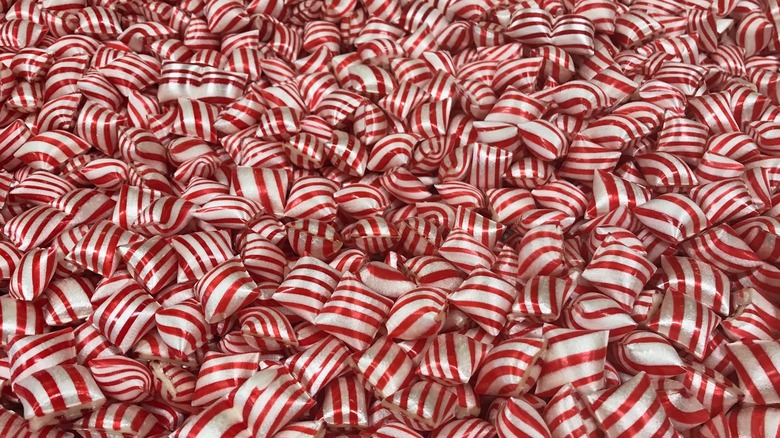 Close-up of hard candies for sale at Schimpff's Confectionery, a family-owned candy store in Jeffersonville, Indiana