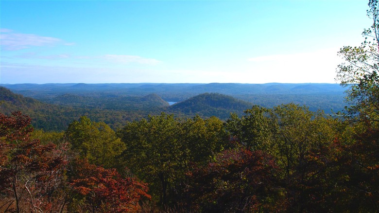 Sweeping view of Uwharrie National Forest