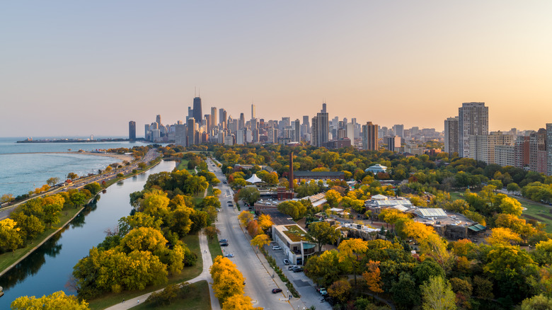 Lincoln Park Zoo in Autumn