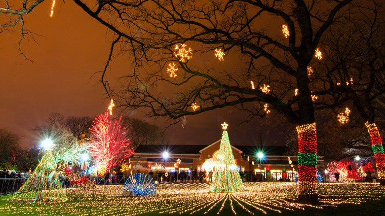 Holiday lights at the zoo