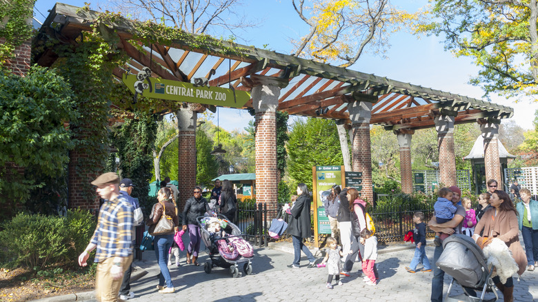 Central Park Zoo in New York City