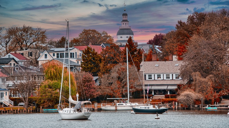 Sailboats at the Annapolis waterfront at sunset surrounded by fall foliage