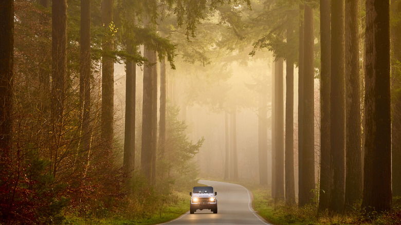 Car driving through autumn forest