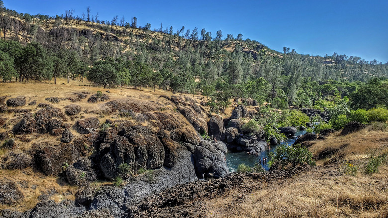 A view of a creek and trees from the Yahi Trail in Upper Bidwell Park in Chico, California