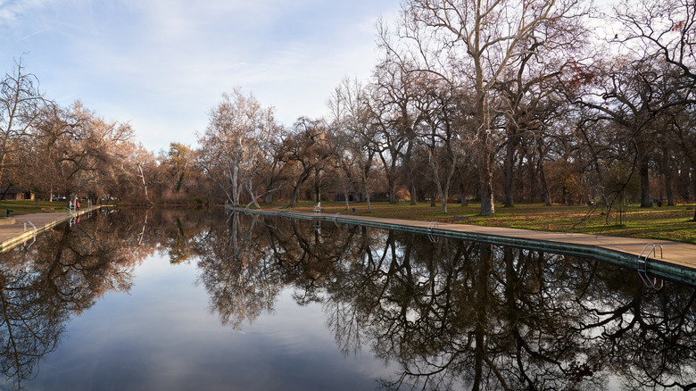 Reflections of bare trees on the water in Sycamore Pool in Bidwell Park in Chico, California