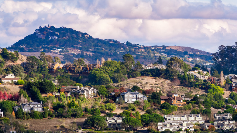 Houses on the slopes of Mill Valley, CA