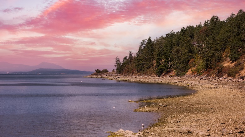 Dusk on Salt Spring Island