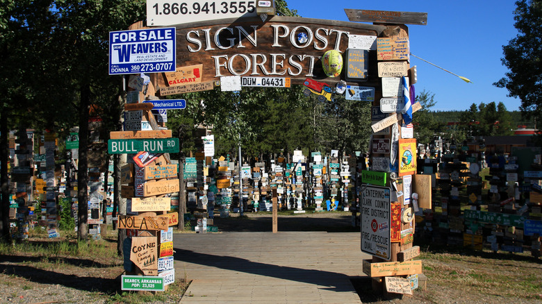 Entrance to Sign Post Forest